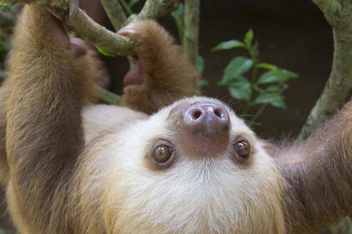 Rainforest Lovers 9D/8N Vacation Package