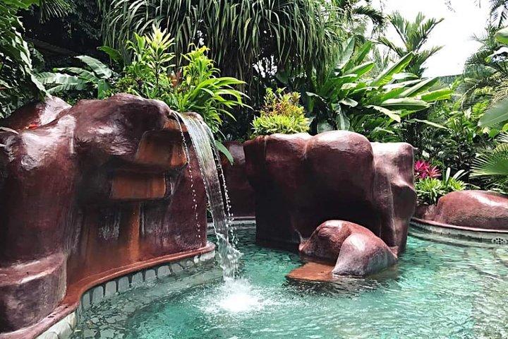 Rainforest Lovers 9D/8N Vacation Package