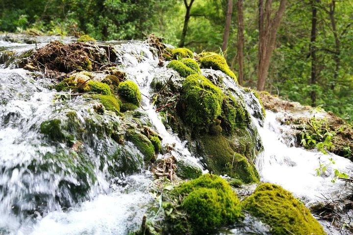 Cascate NP Krka e degustazione di vini - Tour privato di un giorno da Spalato