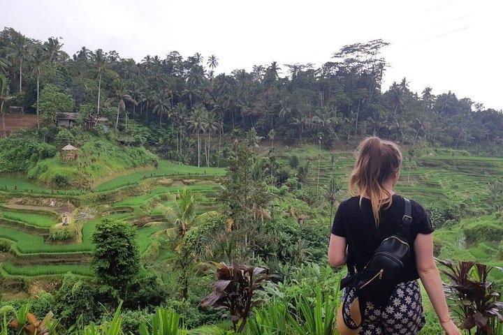 Bali All Inclusive Tour, Ubud Rice Terrace, Temple och Volcano