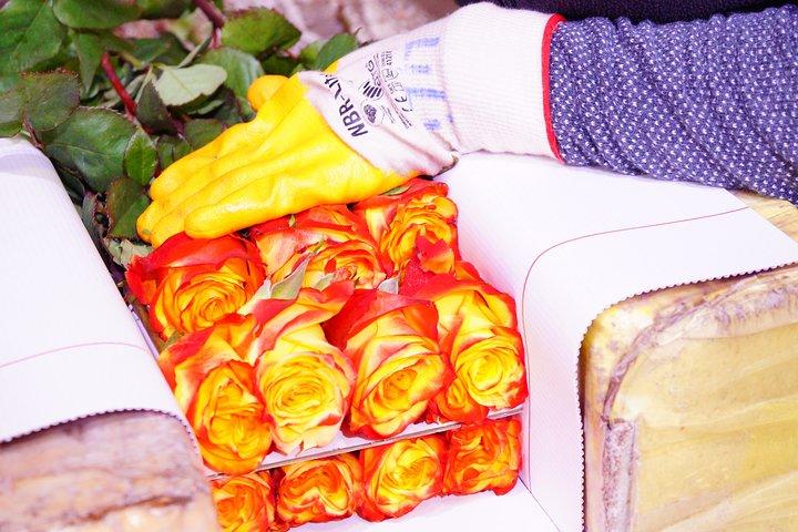 Roses & Horseback Riding (PRIVATE Day Trip from Quito)