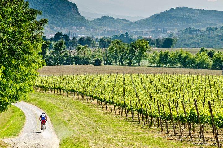 Bérgamo e Franciacorta com almoço e visita à adega