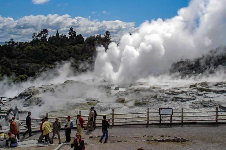 Rotorua Shuttle From/To Auckland - Private Transfers