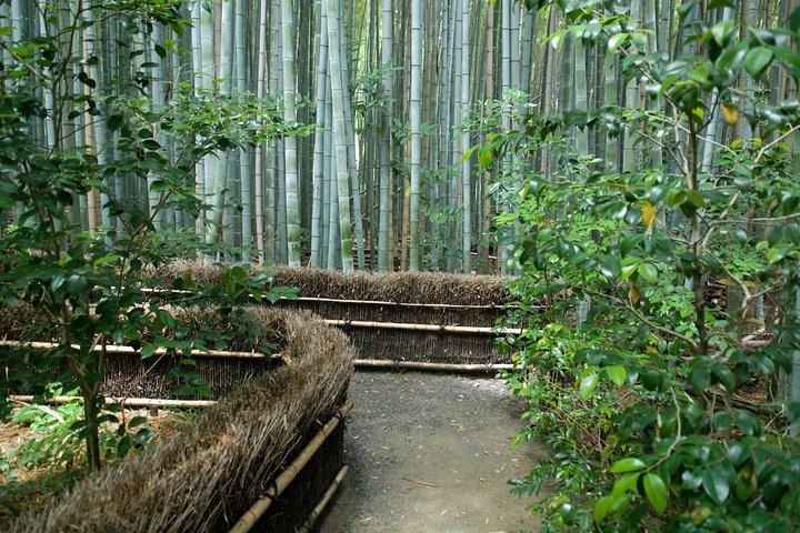 Arashiyama Bamboo Forest Tour de bicicleta eletrônica