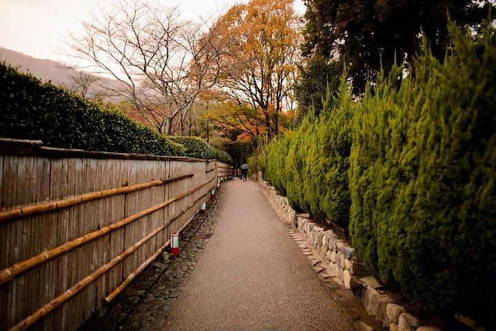 嵐山竹林E-サイクリングツアー