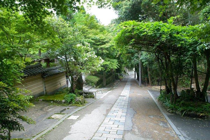 Arashiyama Bamboo Forest Tour de bicicleta eletrônica