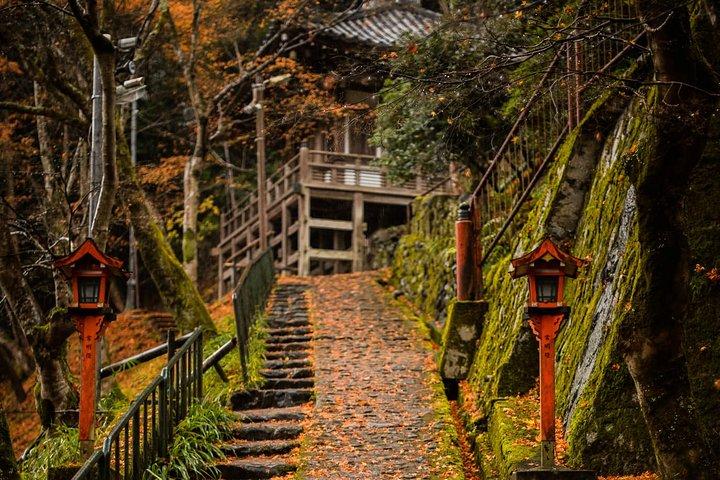 Arashiyama Bamboo Forest Tour de bicicleta eletrônica