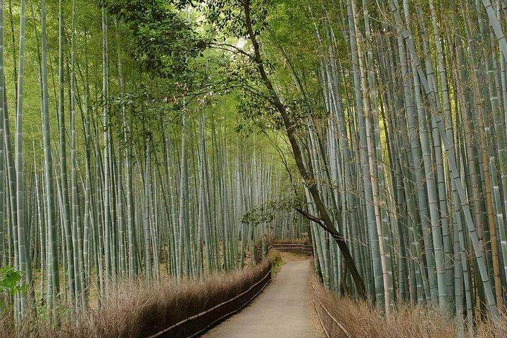 嵐山竹林E-サイクリングツアー