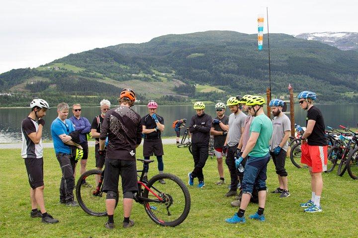 Bicicleta de montaña - Voss Forest