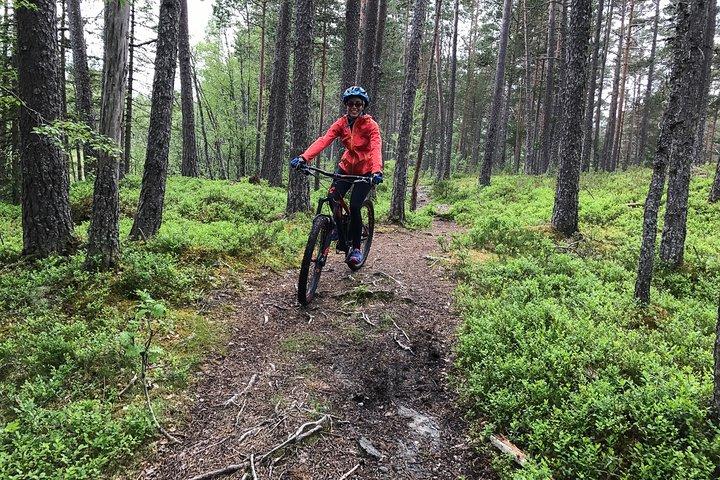 Bicicleta de montaña - Voss Forest
