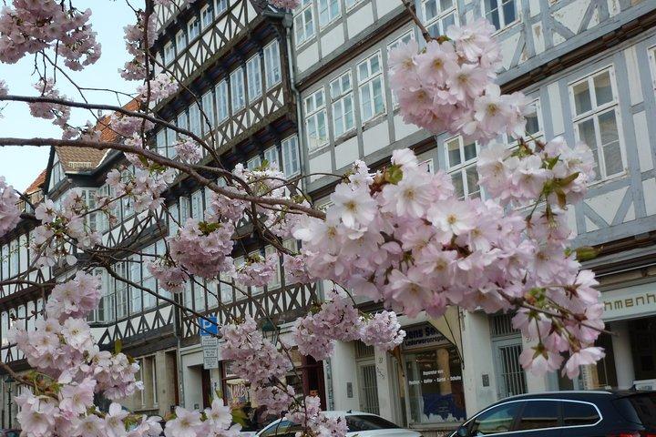 Private Hannover Stadtrundfahrt