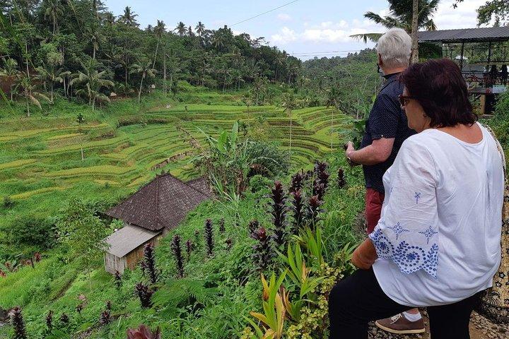 Bali Tour: Ubud mest populære sted
