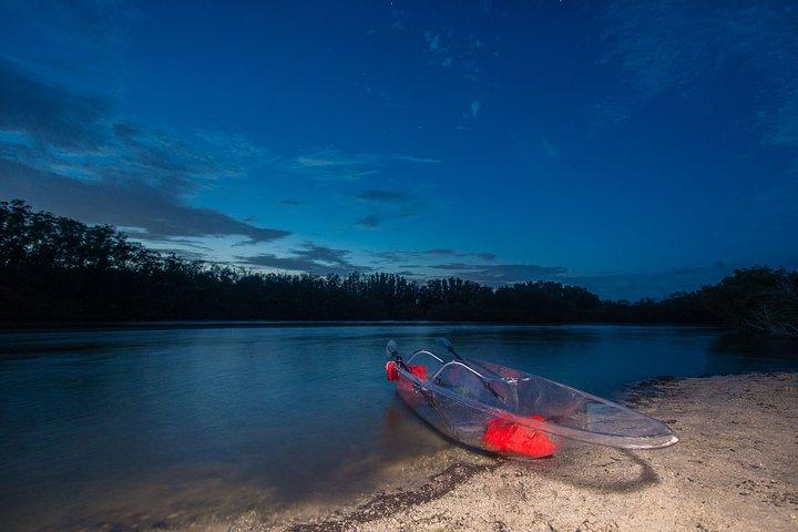 Bioluminescent Clear Kayak Tours in Titusville
