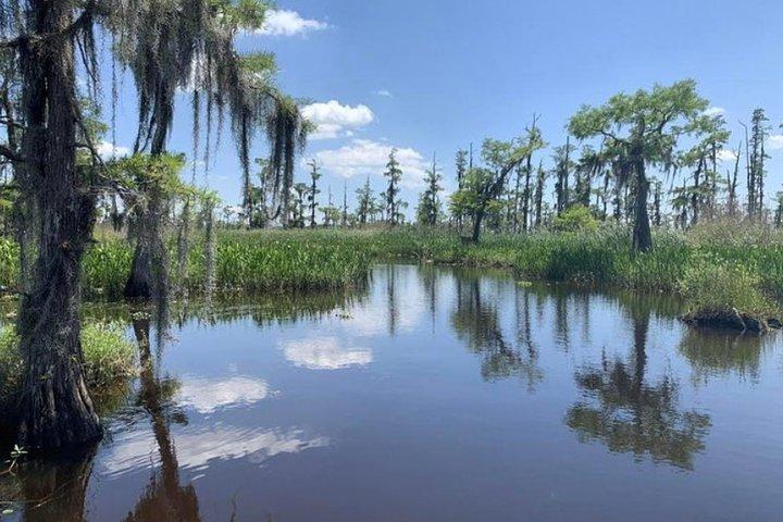 ニューオーリンズのダウンタウンへのお迎え付き、少人数グループのエアボート沼地ツアー