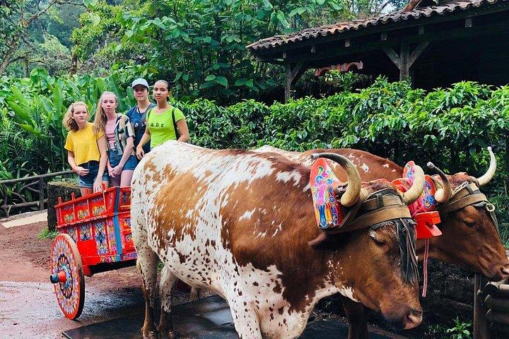 Costa Rica Explorer 10D/9N Vacation Package