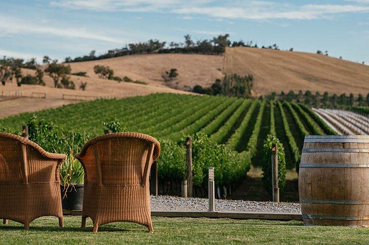Four Pillars Tour de Gin, Almoço e Vinho em Yarra Valley