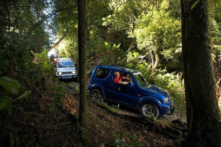 Safari buissonnier à 4 roues motrices à Off Road NZ