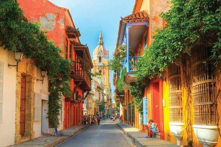 Shore Excursion PRIVATE City tour