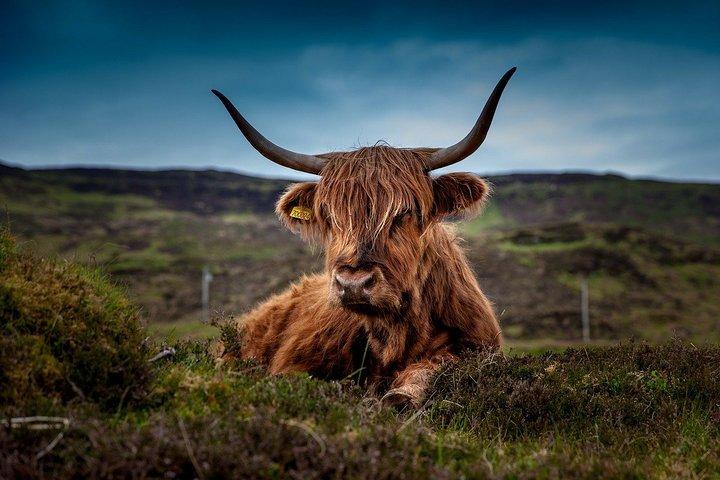 Isle of Skye 3-dages tur fra Glasgow eller Edinburgh