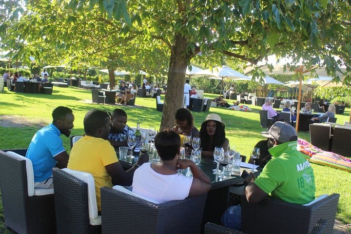 Robben Island + Stellenbosch Wineries From Cape Town Incl Tickets