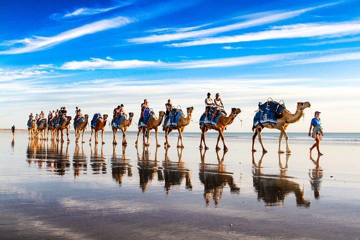 Excursion d'une heure à Broome Sunset Camel