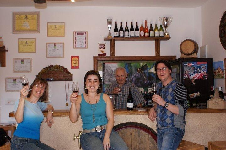 Beaujolais Wine Discovery - Tour privado - Medio día