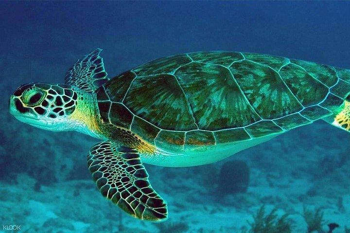 スリランカの野生生物ツアー-10日