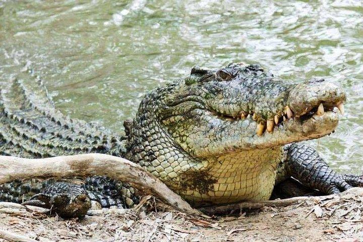 スリランカの野生生物ツアー-10日