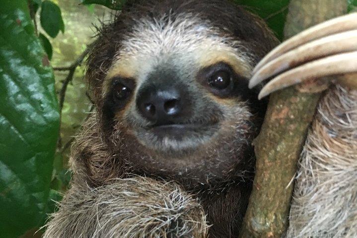 Parc national Manuel Antonio : Une expérience complète de la faune