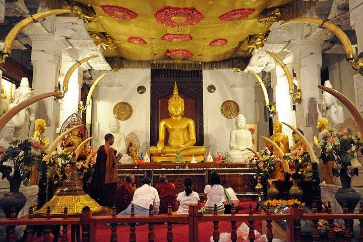 Kindgerichte familiereis in Sri Lanka & strandvakanties - per minibus - 2 weken
