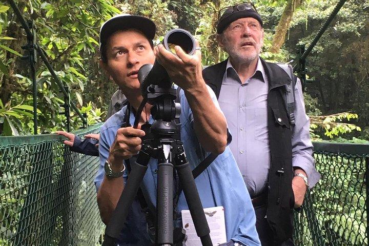 マヌエル・アントニオ国立公園：完全な野生動物体験