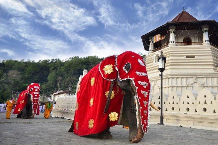 Sri Lanka Più popolari - 12 giorni.