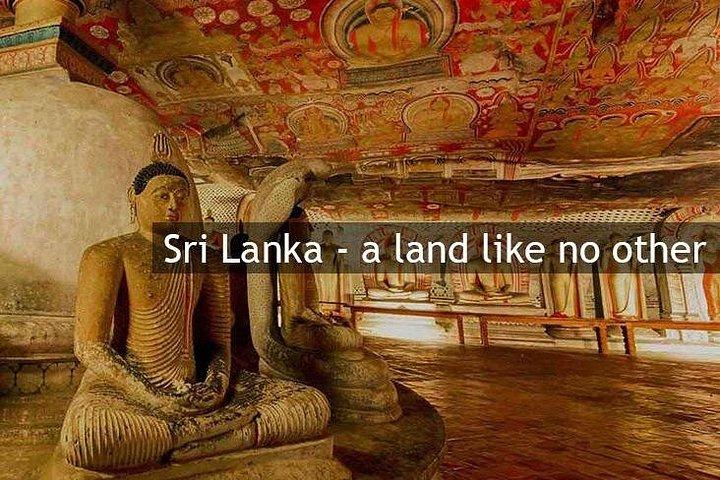 Personal Driver For Your Two Weeks Round Tour In Sri Lanka