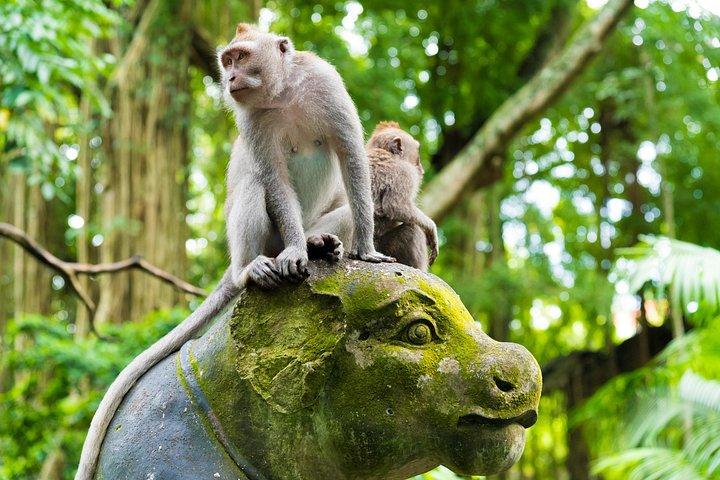 Pick 5 Destinations: Customized Ubud Tour