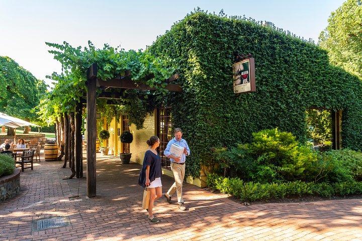 Yalumba Signature Tour