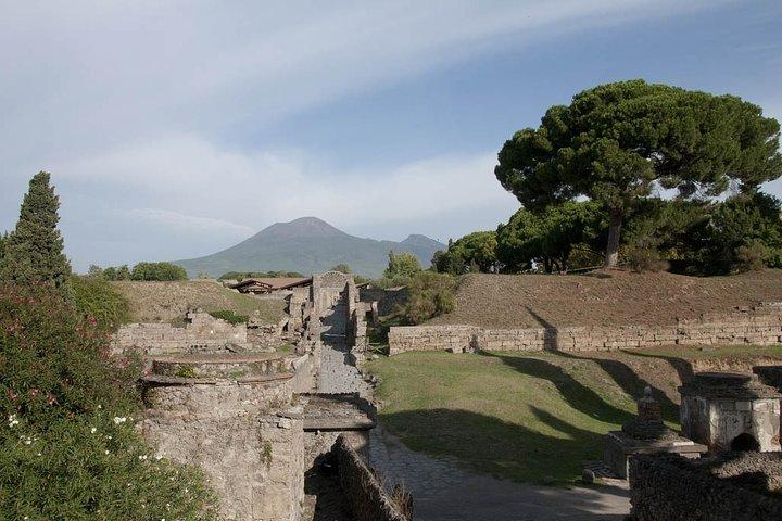 Tour privado Pompeii Vesuvius e Winery from Sorrento