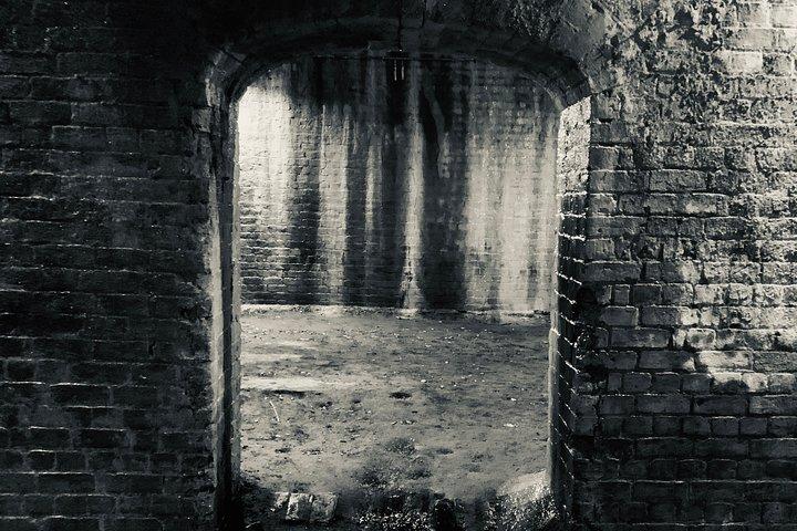 Spanish Moss Haunted Savannah Pub Crawl