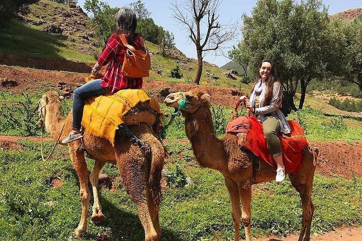 高アトラス山脈でのプライベート日帰り旅行とハイキング
