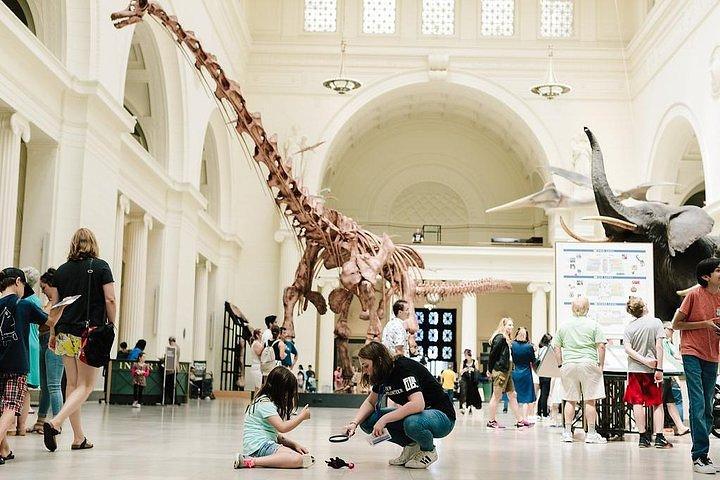 Billets d'entrée au Musée d'histoire naturelle de Field