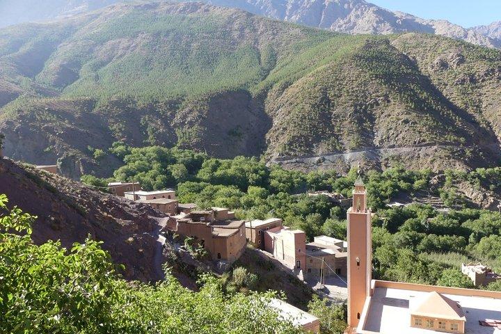 Atlasbergen Ridning Dagstur från Marrakech
