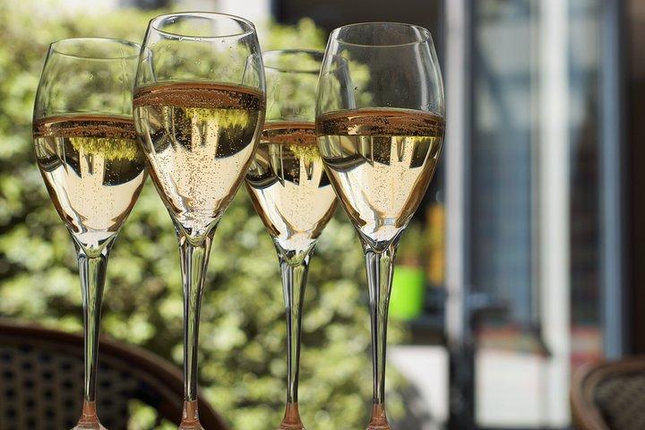 Privat guidad tur i Champagne från Paris med Moet & Chandon besök.