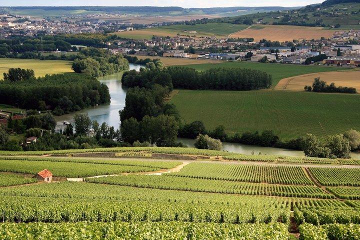 Visita guiada privada em Champagne saindo de Paris com visita à Moet&Chandon.