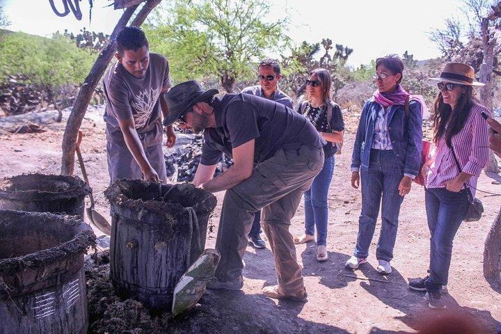 Bebidas Ancestrales : Mezcal y Pulque del Corazón del Desierto
