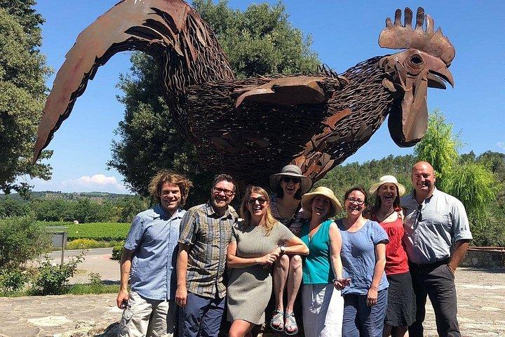 Chianti and San Gimignano - 2 Wineries with Pairing Lunch