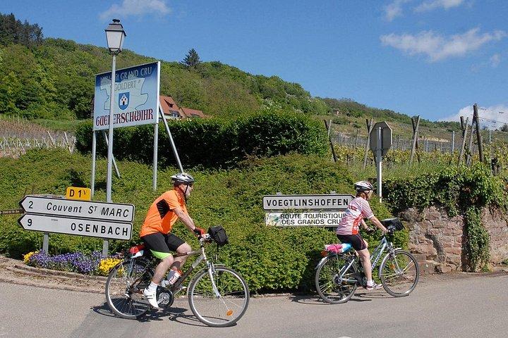 アルザスのブドウ園とワイン村のプライベートバイクツアーを通して