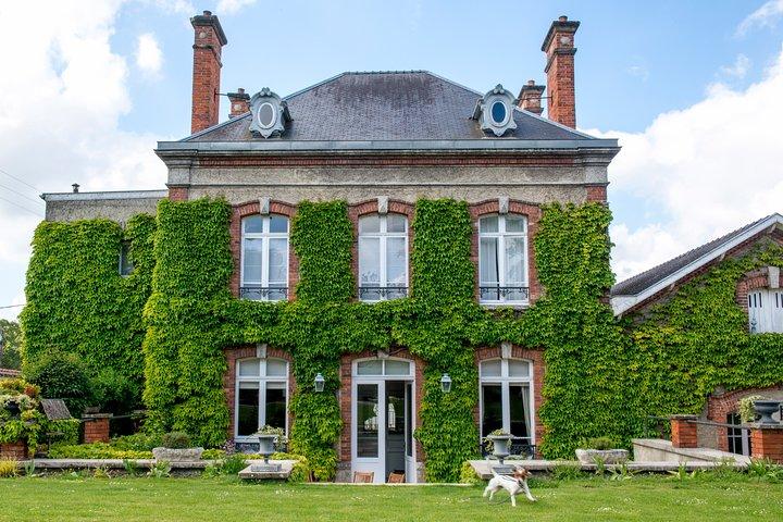 Aula de degustação de champanhe e almoço perto de Epernay