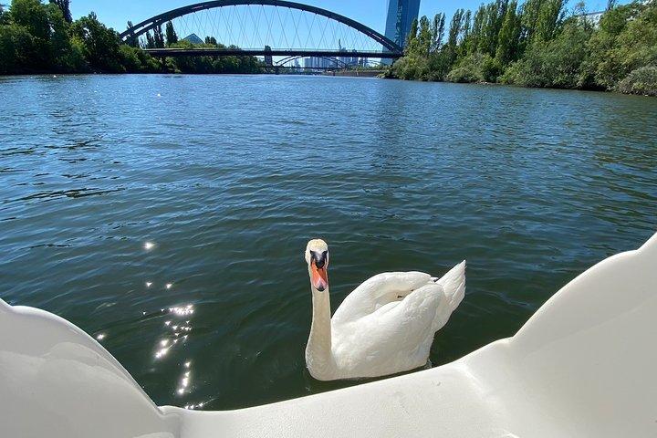 Entdecken Sie die private Bootstour von Bird & Marine Wildlife auf Englisch