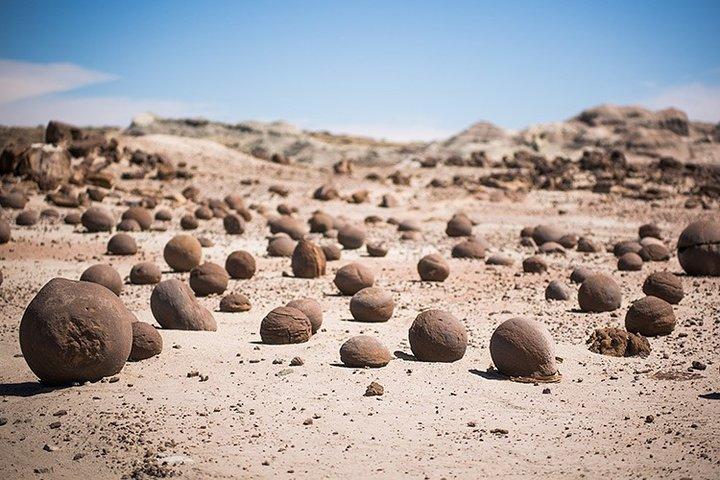 San Juan : Ischigualasto, el Valle de la Luna – Journée complète
