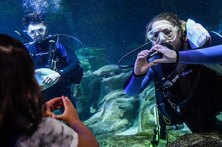 シーライフ水族館アリゾナ入場券