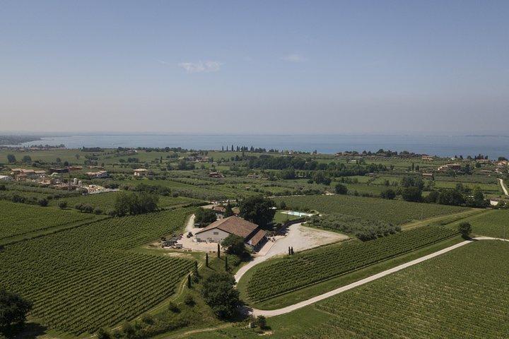 Visit and wine tasting at Tenuta La Cà